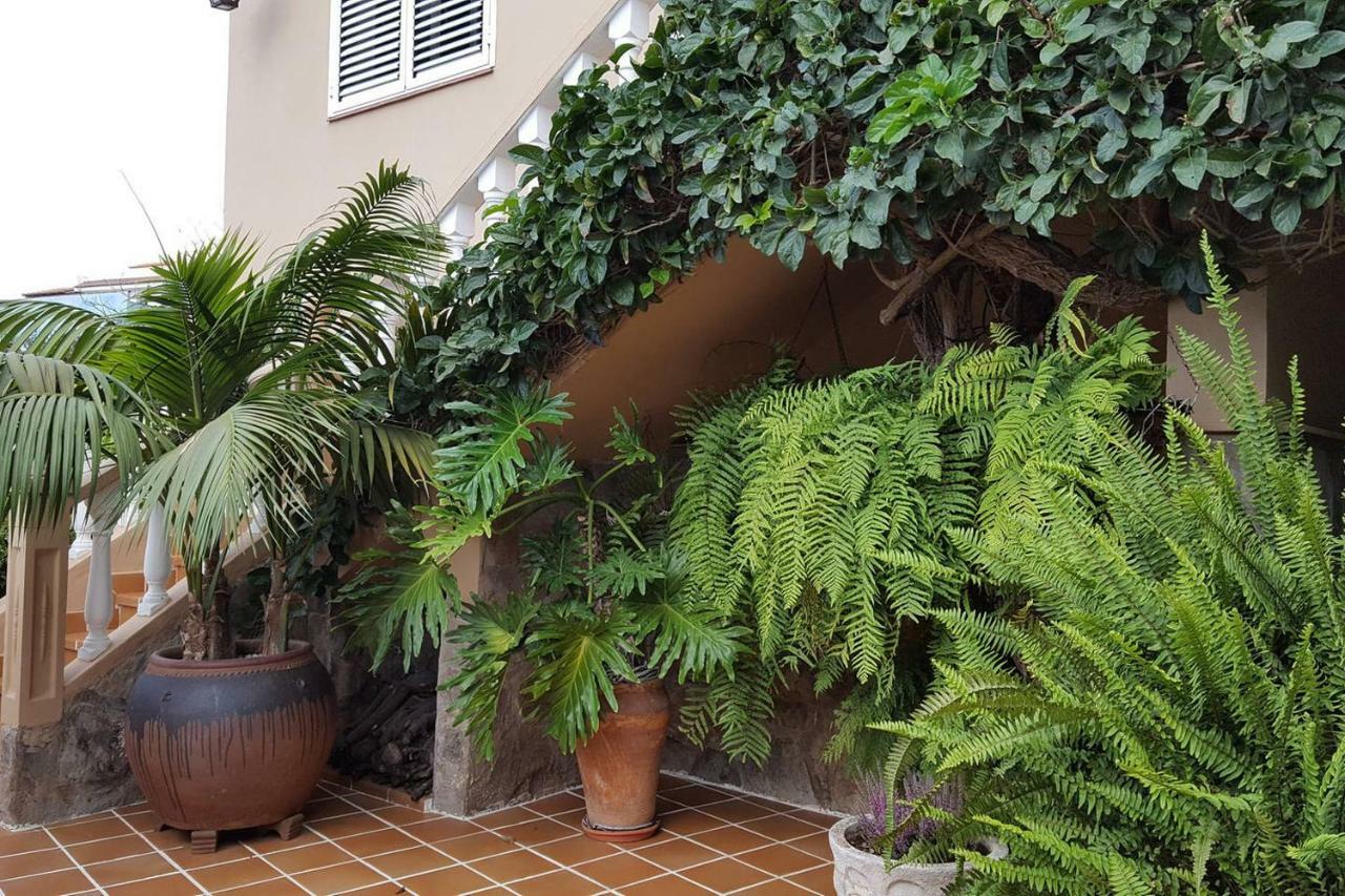 Orotava Garden House Perfect For Families Villa La Orotava Exteriör bild